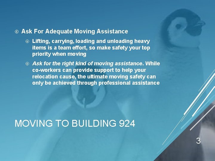  Ask For Adequate Moving Assistance Lifting, carrying, loading and unloading heavy items is