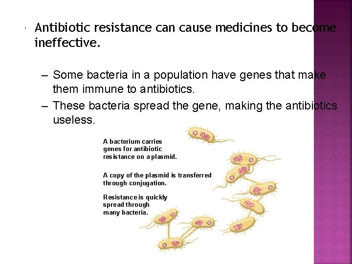  Antibiotic resistance can cause medicines to become ineffective. – Some bacteria in a