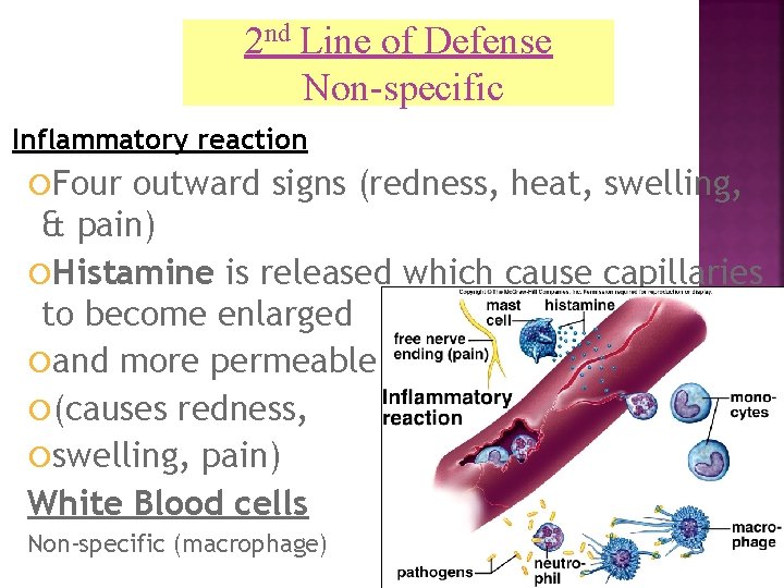 2 nd Line of Defense Non-specific Inflammatory reaction Four outward signs (redness, heat, swelling,