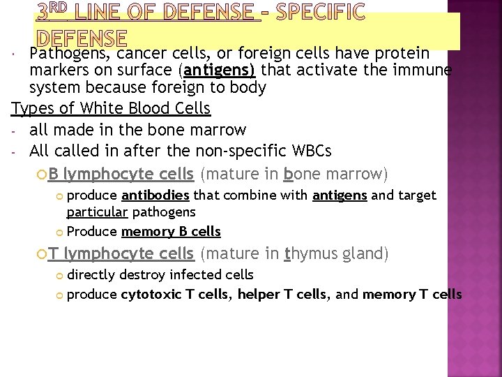 Pathogens, cancer cells, or foreign cells have protein markers on surface (antigens) that activate