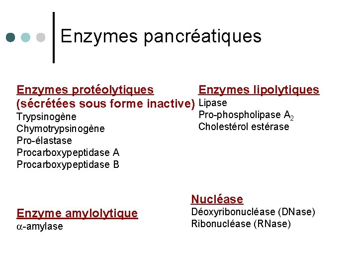 Enzymes pancréatiques Enzymes protéolytiques Enzymes lipolytiques (sécrétées sous forme inactive) Lipase Trypsinogène Chymotrypsinogène Pro-élastase