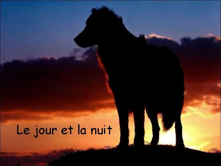 Le jour et la nuit 