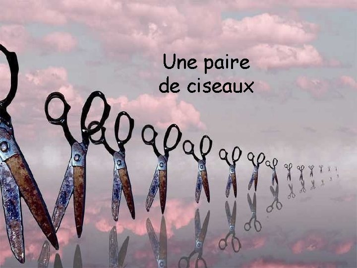 Une paire de ciseaux 