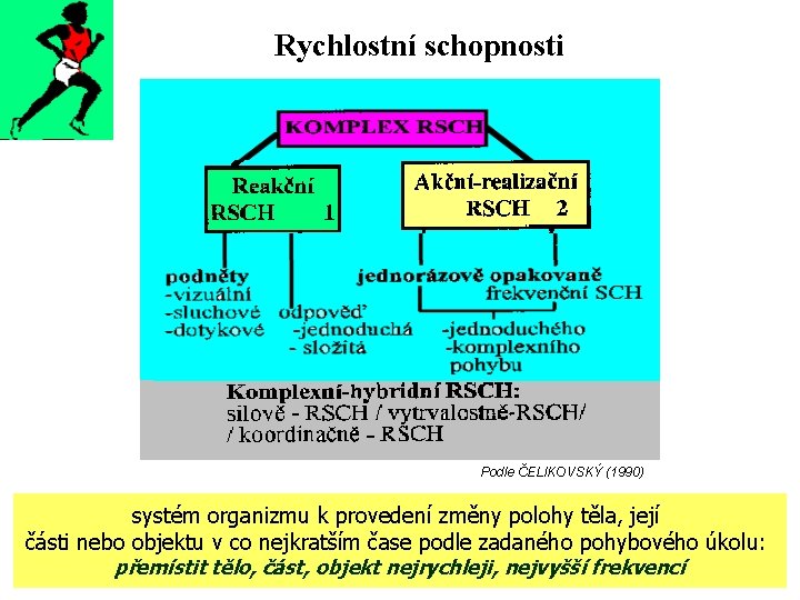 Rychlostní schopnosti Podle ČELIKOVSKÝ (1990) systém organizmu k provedení změny polohy těla, její části