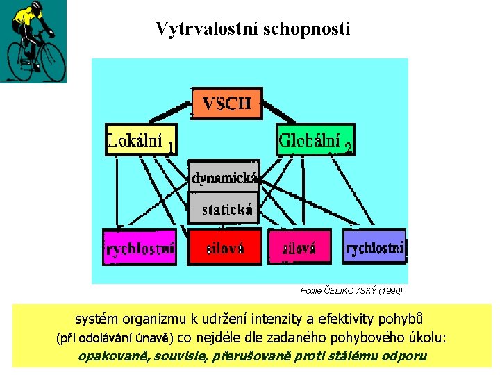 Vytrvalostní schopnosti Podle ČELIKOVSKÝ (1990) systém organizmu k udržení intenzity a efektivity pohybů (při