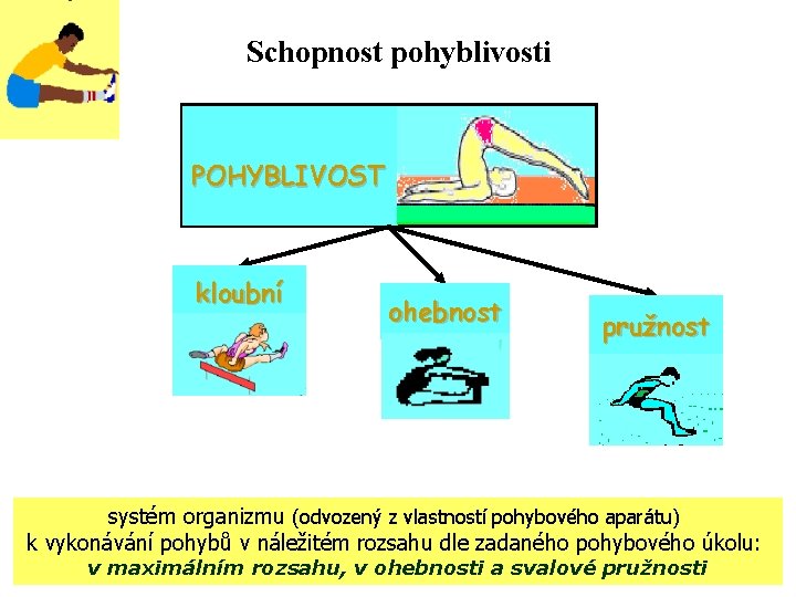 Schopnost pohyblivosti POHYBLIVOST kloubní ohebnost pružnost systém organizmu (odvozený z vlastností pohybového aparátu) k