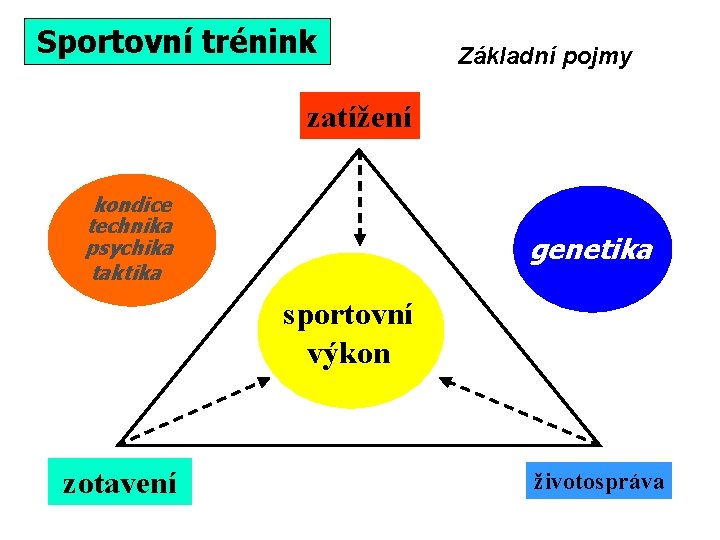 Sportovní trénink Základní pojmy zatížení kondice technika psychika taktika genetika sportovní výkon zotavení životospráva