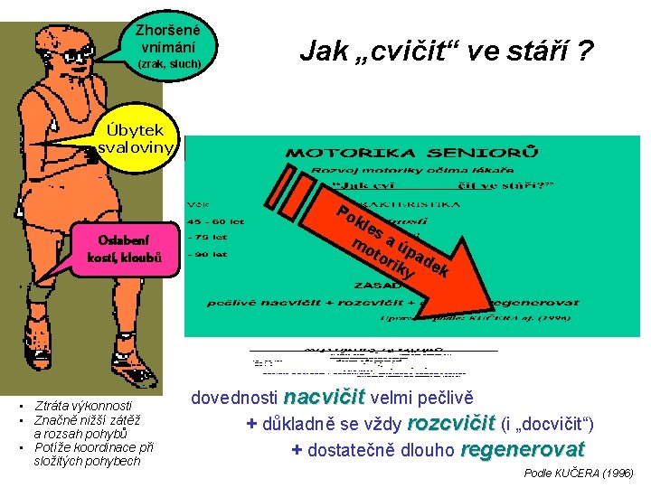 Zhoršené vnímání (zrak, sluch) Jak „cvičit“ ve stáří ? Úbytek svaloviny Oslabení kostí, kloubů