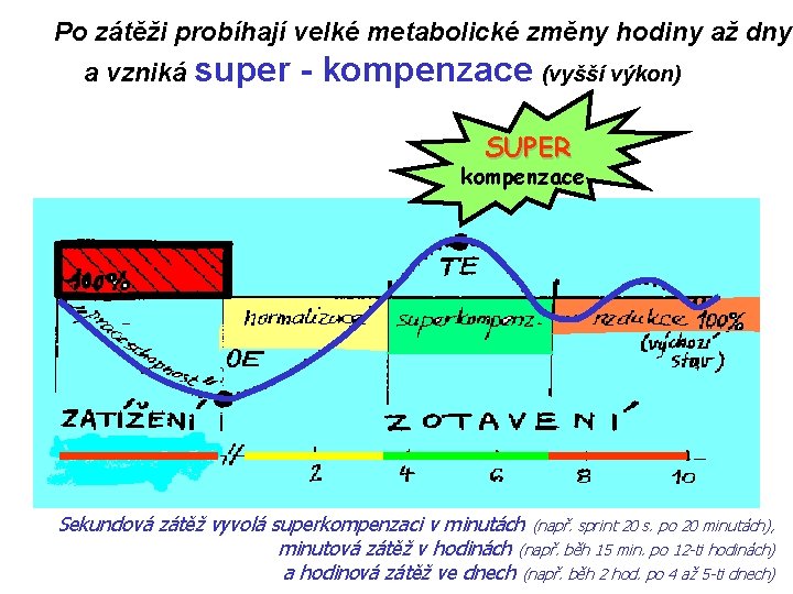 Po zátěži probíhají velké metabolické změny hodiny až dny a vzniká super - kompenzace