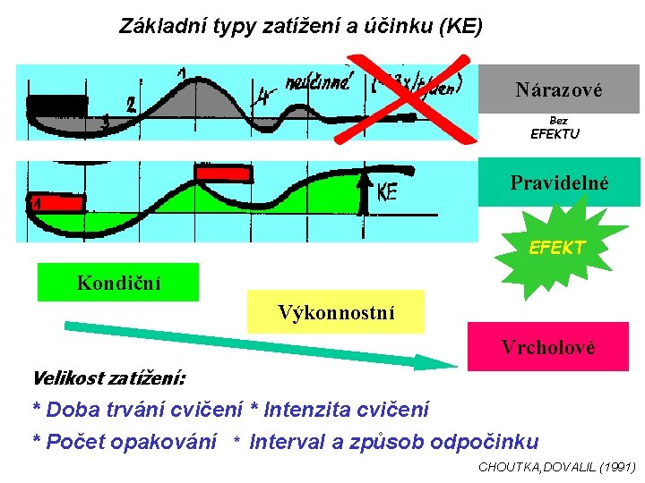 Základní typy zatížení a účinku (KE) Nárazové Bez EFEKTU Pravidelné EFEKT Kondiční Výkonnostní Vrcholové