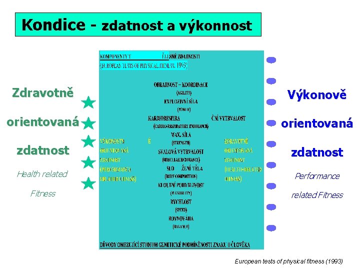 Kondice - zdatnost a výkonnost Zdravotně Výkonově orientovaná zdatnost Health related Performance Fitness related