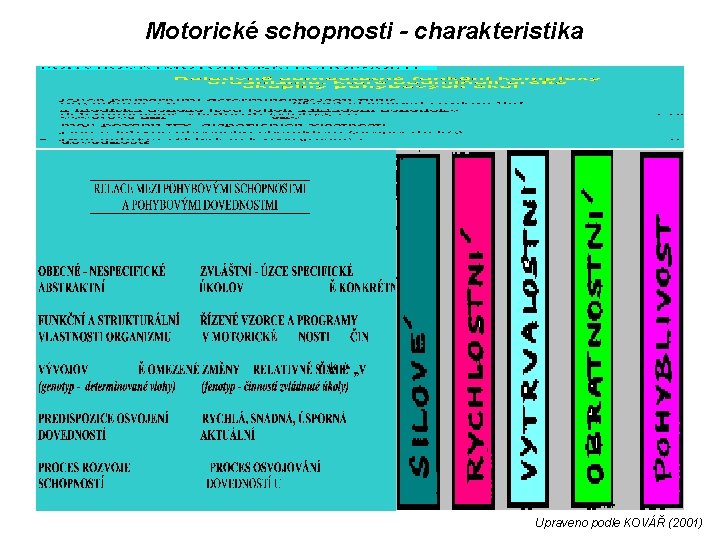 Motorické schopnosti - charakteristika Upraveno podle KOVÁŘ (2001) 