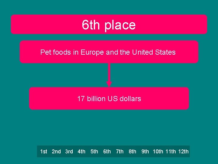 6 th place Pet foods in Europe and the United States 17 billion US