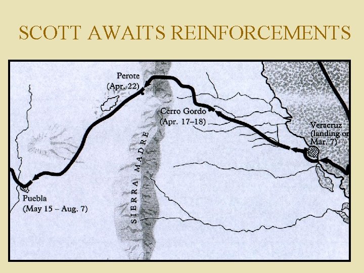 SCOTT AWAITS REINFORCEMENTS 