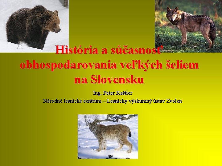 História a súčasnosť obhospodarovania veľkých šeliem na Slovensku Ing. Peter Kaštier Národné lesnícke centrum