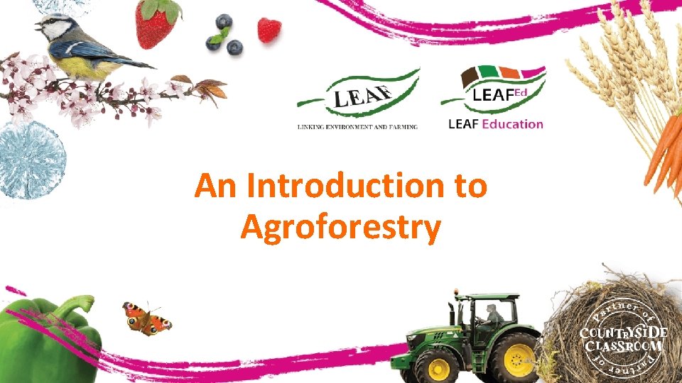 An Introduction to Agroforestry 