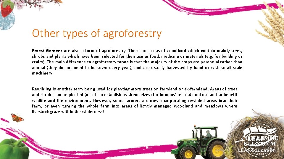 Other types of agroforestry Forest Gardens are also a form of agroforestry. These areas