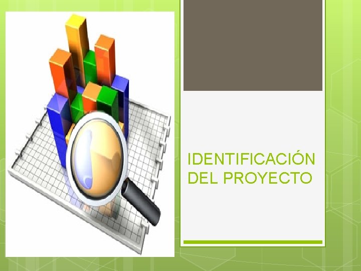 IDENTIFICACIÓN DEL PROYECTO 