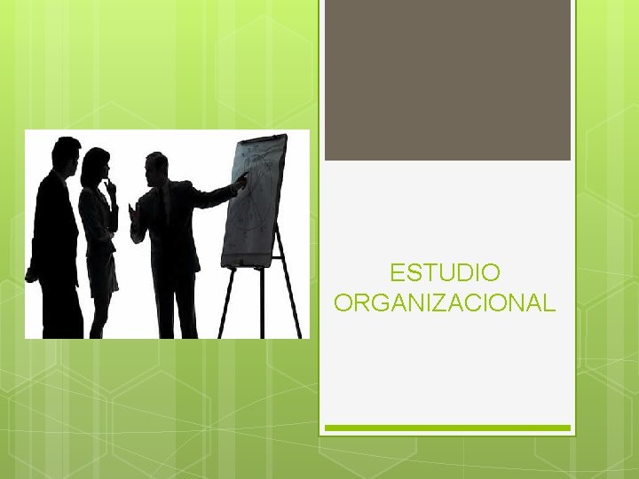 ESTUDIO ORGANIZACIONAL 