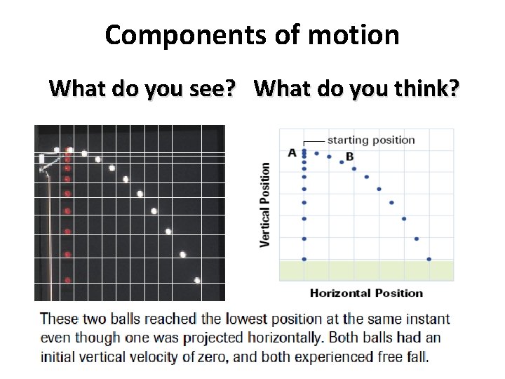 Components of motion What do you see? What do you think? 