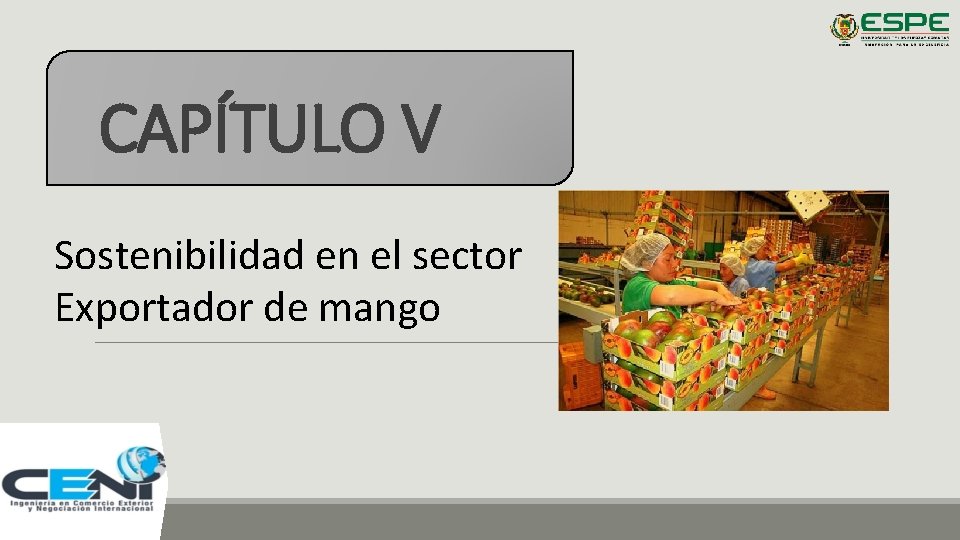 CAPÍTULO V Sostenibilidad en el sector Exportador de mango 