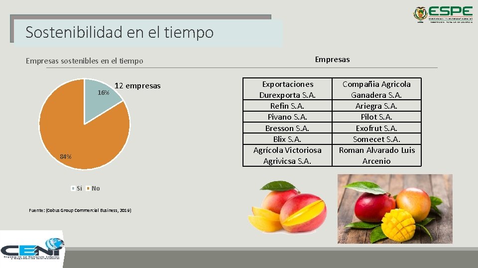 Sostenibilidad en el tiempo Empresas sostenibles en el tiempo 16% 12 empresas 84% Sí