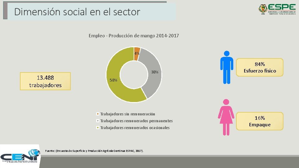 Dimensión social en el sector Empleo - Producción de mango 2014 -2017 4% 13.