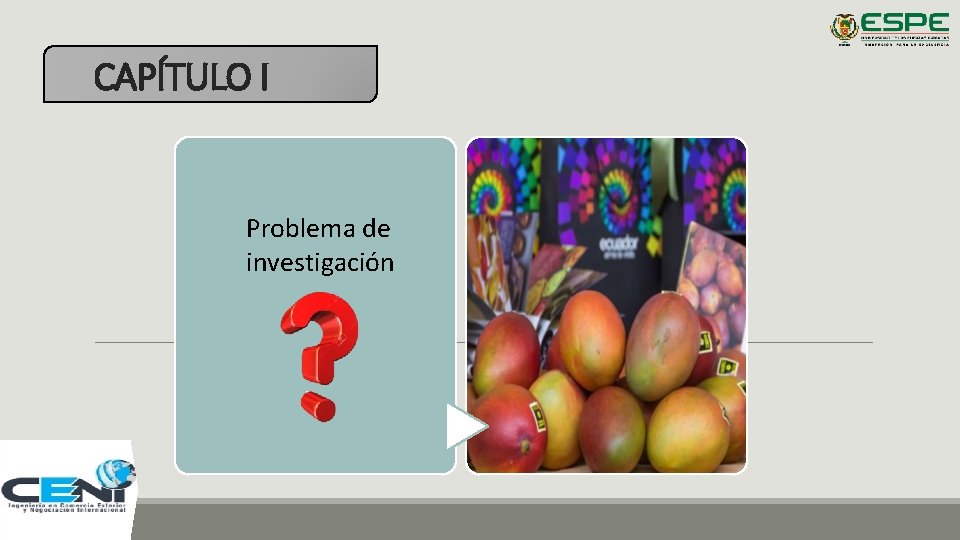 CAPÍTULO I Problema de investigación 