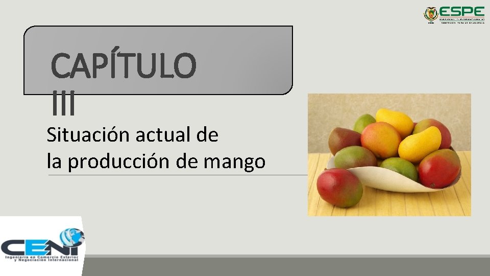 CAPÍTULO III Situación actual de la producción de mango 