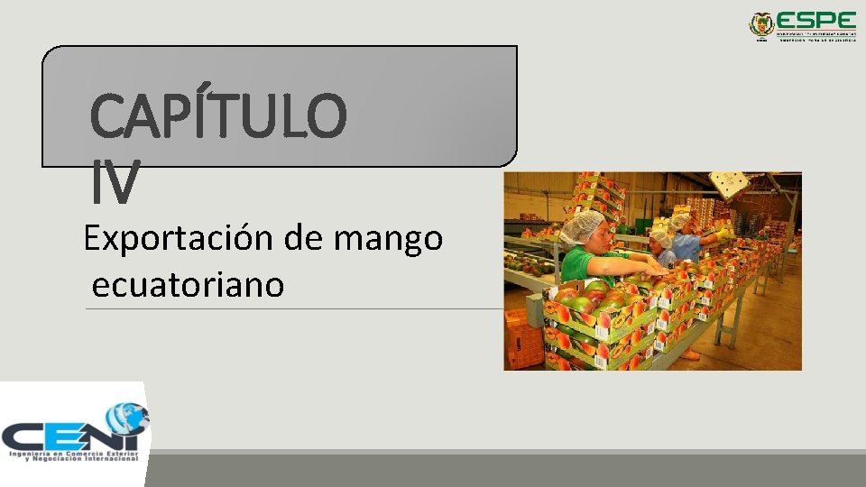 CAPÍTULO IV Exportación de mango ecuatoriano 