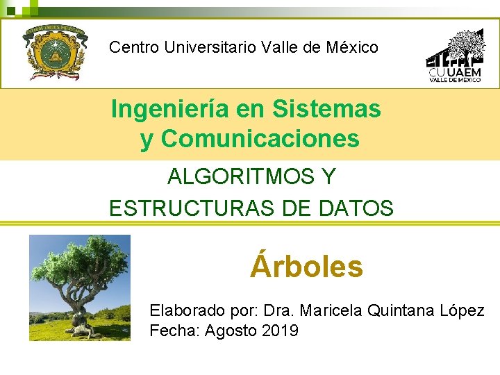 Centro Universitario Valle de México Ingeniería en Sistemas y Comunicaciones ALGORITMOS Y ESTRUCTURAS DE