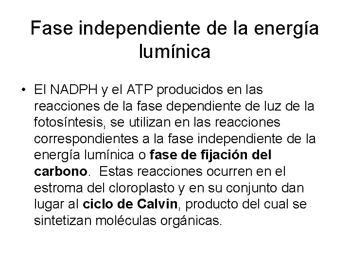 Fase independiente de la energía lumínica • El NADPH y el ATP producidos en