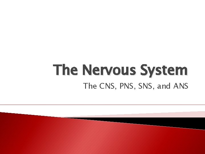 The Nervous System The CNS, PNS, SNS, and ANS 