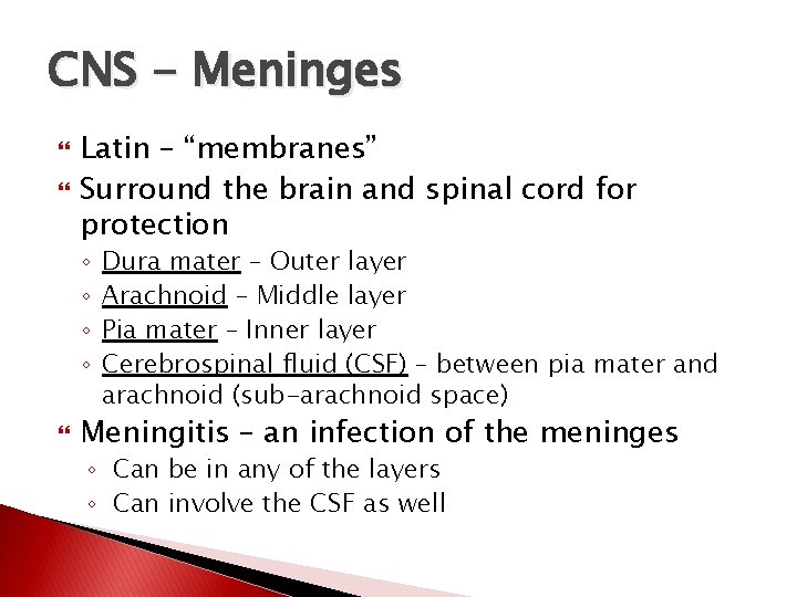 CNS - Meninges Latin – “membranes” Surround the brain and spinal cord for protection