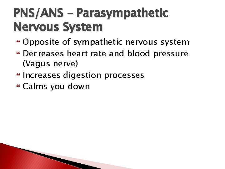 PNS/ANS – Parasympathetic Nervous System Opposite of sympathetic nervous system Decreases heart rate and