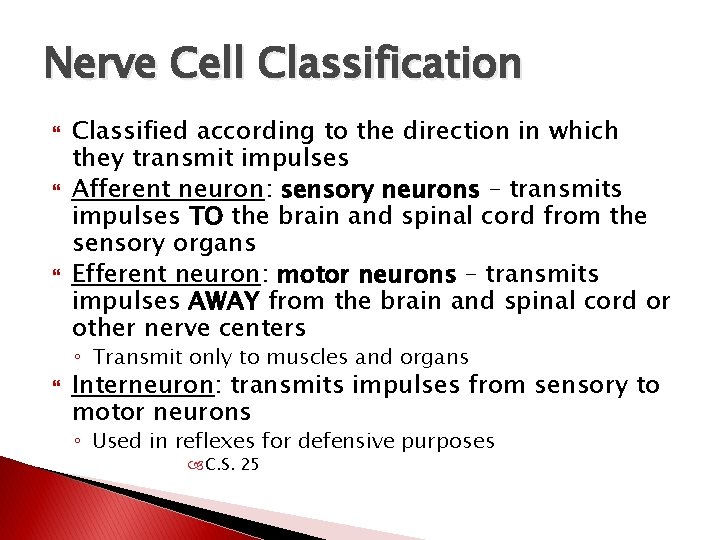 Nerve Cell Classification Classified according to the direction in which they transmit impulses Afferent