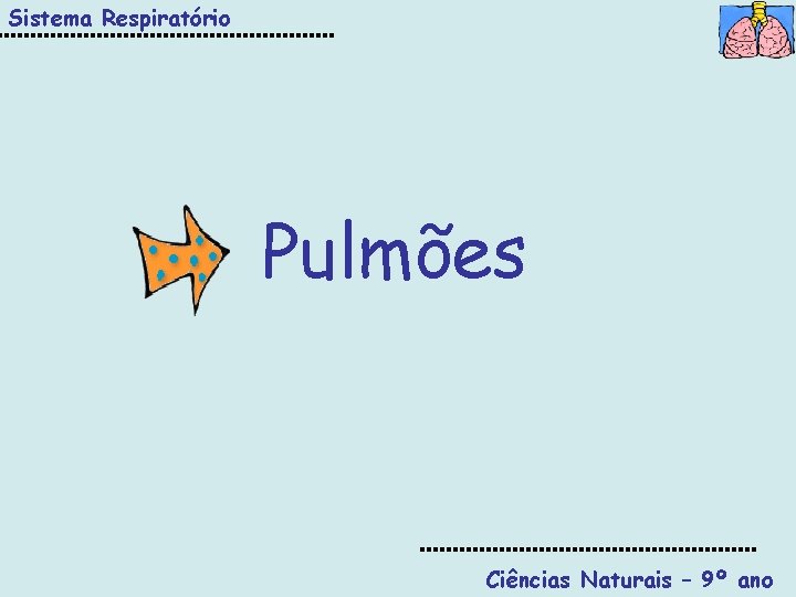 Sistema Respiratório Pulmões Ciências Naturais – 9º ano 