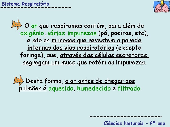 Sistema Respiratório O ar que respiramos contém, para além de oxigénio, várias impurezas (pó,