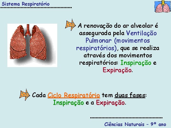 Sistema Respiratório A renovação do ar alveolar é assegurada pela Ventilação Pulmonar (movimentos respiratórios),