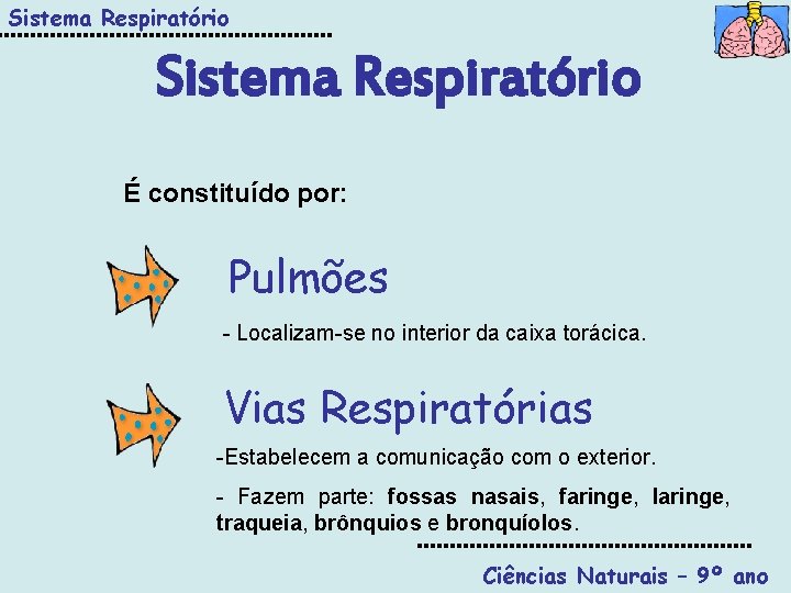 Sistema Respiratório É constituído por: Pulmões - Localizam-se no interior da caixa torácica. Vias