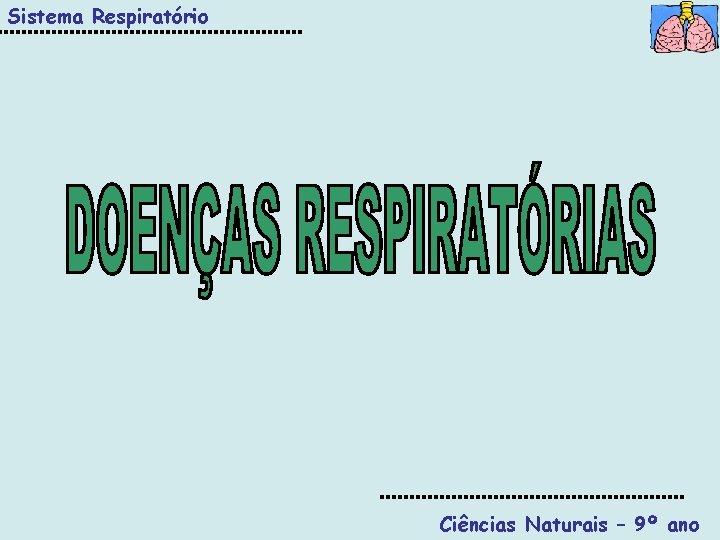 Sistema Respiratório Ciências Naturais – 9º ano 