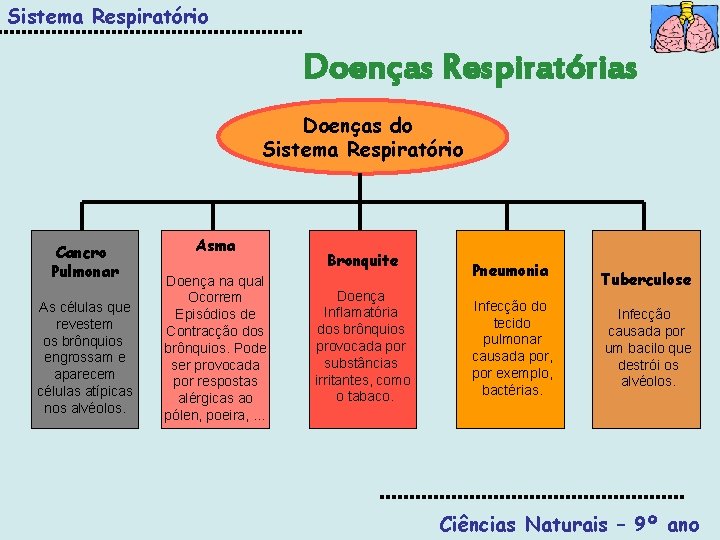 Sistema Respiratório Doenças Respiratórias Doenças do Sistema Respiratório Cancro Pulmonar As células que revestem