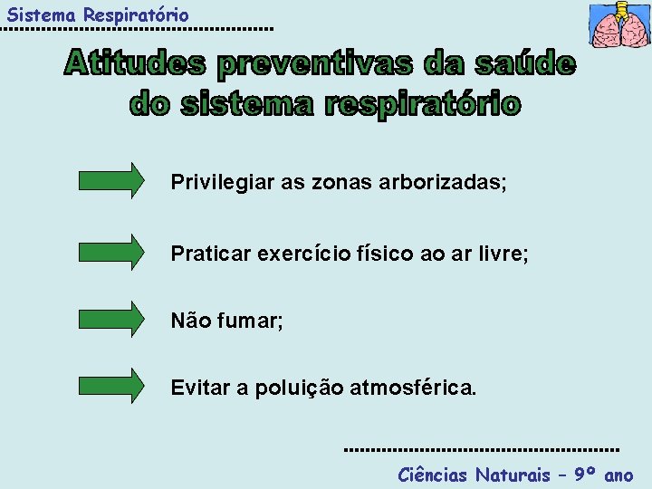 Sistema Respiratório Privilegiar as zonas arborizadas; Praticar exercício físico ao ar livre; Não fumar;