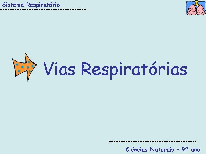 Sistema Respiratório Vias Respiratórias Ciências Naturais – 9º ano 