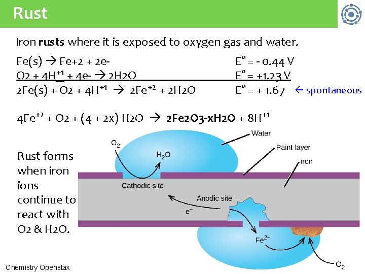 Rust Iron rusts where it is exposed to oxygen gas and water. Fe(s) Fe+2