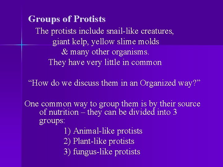 Groups of Protists The protists include snail-like creatures, giant kelp, yellow slime molds &