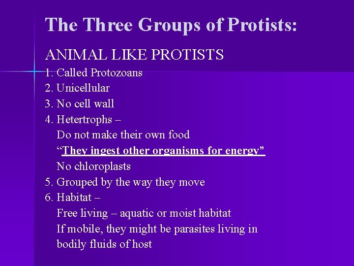 The Three Groups of Protists: ANIMAL LIKE PROTISTS 1. Called Protozoans 2. Unicellular 3.