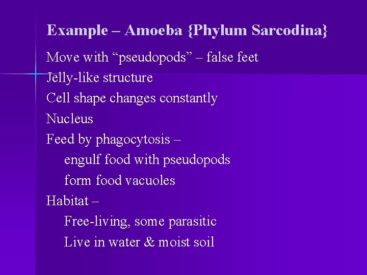 Example – Amoeba {Phylum Sarcodina} Move with “pseudopods” – false feet Jelly-like structure Cell