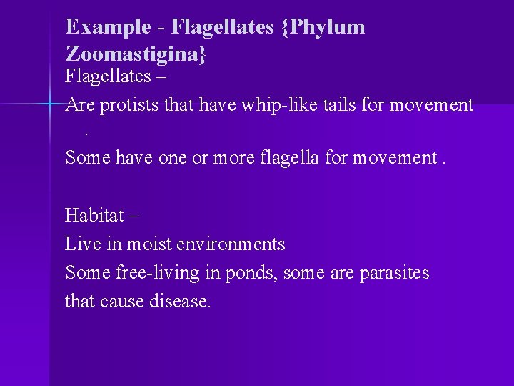 Example - Flagellates {Phylum Zoomastigina} Flagellates – Are protists that have whip-like tails for