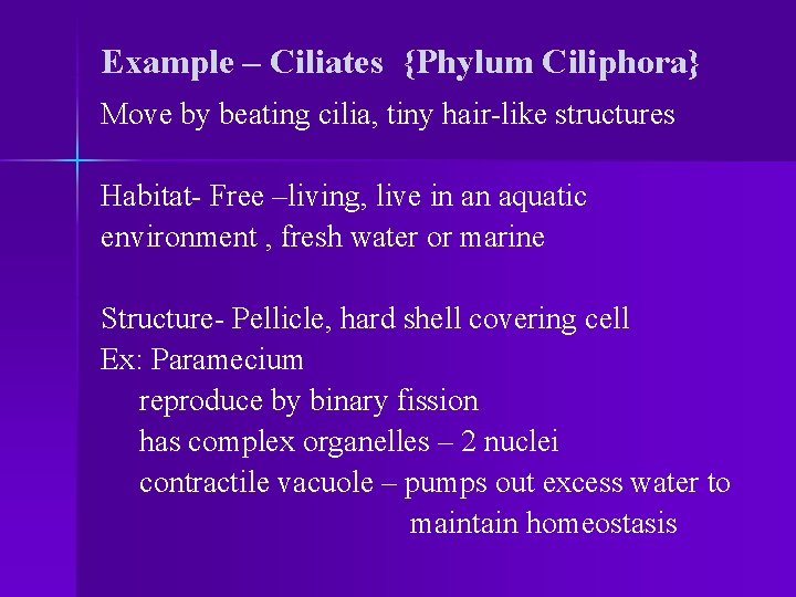 Example – Ciliates {Phylum Ciliphora} Move by beating cilia, tiny hair-like structures Habitat- Free